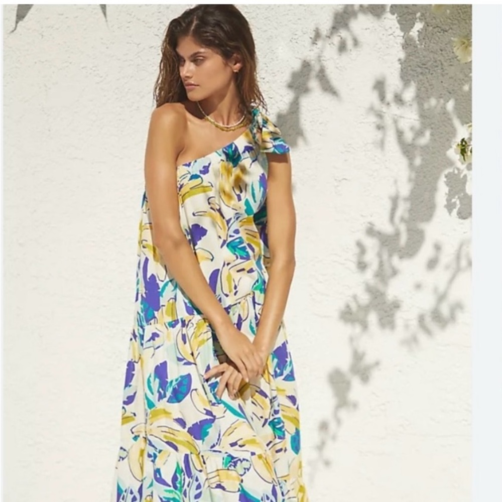 Anthropologie Blue and Yellow Floral Maxi Dress